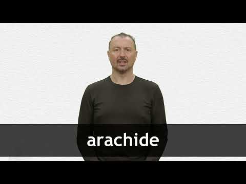How to pronounce ARACHIDE in French