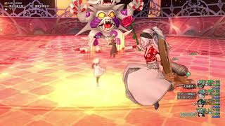 【DQX】究極エビルプリースト 2分7秒 パラレン海賊僧侶