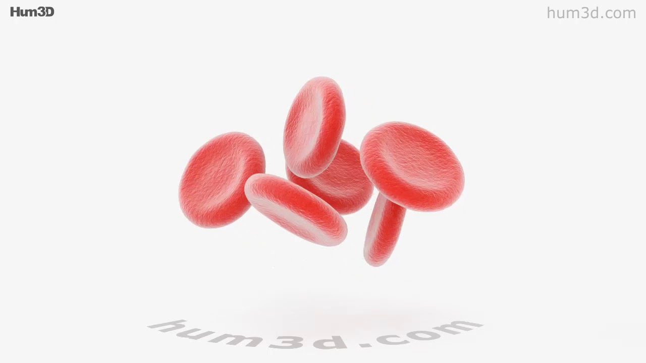 Red Blood Cell 3D model by 3DModels.org