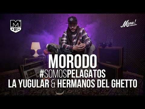 #SomosPelaGatos nº 874 - Morodo, La Yugular Reggae & Hermanos del Ghetto