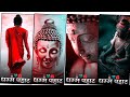 Dhamma Sakal Status Dhamma Sakal Whatsapp Status By For Your Smile Gautama Buddha Status
