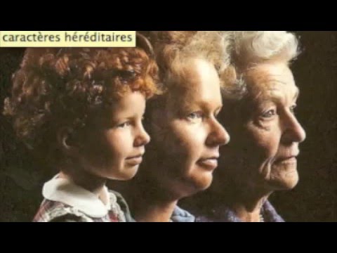 Chapitre 1 : unité et diversité des êtres humains