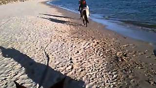 preview picture of video '30th November 2013 Sat Beach Ride!!!'