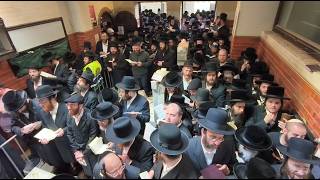 𝐇𝐢𝐠𝐡𝐥𝐢𝐠𝐡𝐭𝐬: Reb Shayele of Kerestir Yahrzeit 2026 |  הילולת הרה"ק רבי ישעיה מקרעסטיר זי"ע - תשפ״ו