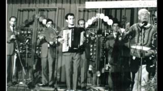 Bik Ndoja - Jargavan Me Ngjyrë Të Gjallë