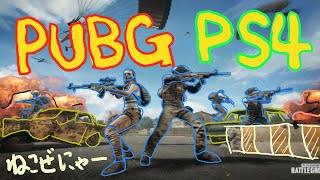 【PUBG  PS4 】おじおじの佐賀弁実況