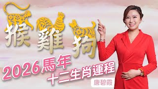 2026年丙午馬年 十二生肖運程(猴,雞,狗) | 屬X犯太歲 |  屬X的朋友有XX吉星相助 有令從事屬X的朋友 | 屬X的朋友有粒XX凶星 令你容易疑神疑鬼 #馬年十二生肖 #十二生肖