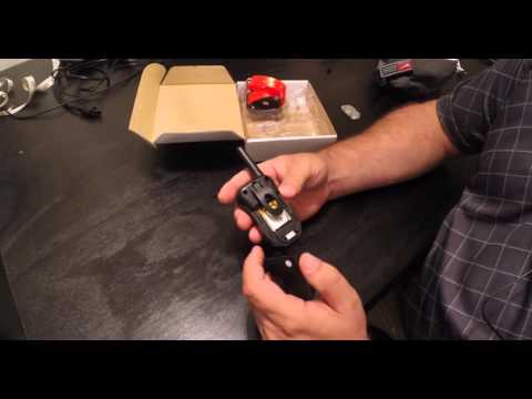 Esky dog training collar