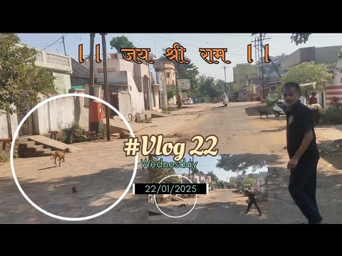 #22 What's This Behaviour With Street Dog's 🐶🐕🐕 😡🤬😡