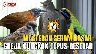 Download lagu MASTERAN KOMBINASI TERMEWAH || BESETAN - CUNGKOK GEREJA TARUNG - TEPUS || KUNTI MENJERIT PANJANG mp3 Download lagu MASTERAN KOMBINASI TERMEWAH || BESETAN - CUNGKOK GEREJA TARUNG - TEPUS || KUNTI MENJERIT PANJANG mp3