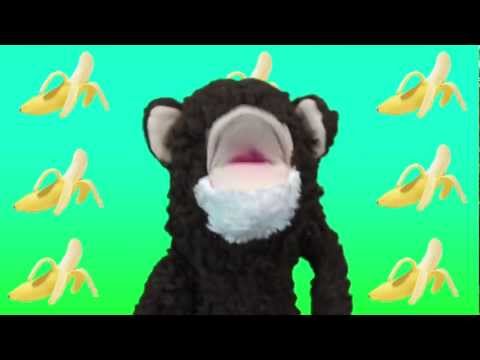 Ceiling Fan Trick Knockdown Interview With Jason