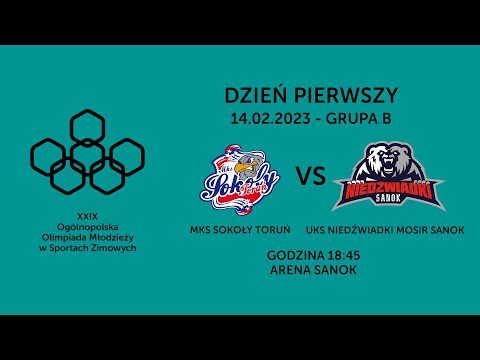 MKS Sokoły Toruń - UKS Niedźwiadki MOSiR Sanok