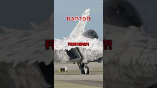 Download lagu Rookie COVERS Raptor in Feathers 😳 mp3 Download lagu Rookie COVERS Raptor in Feathers 😳 mp3