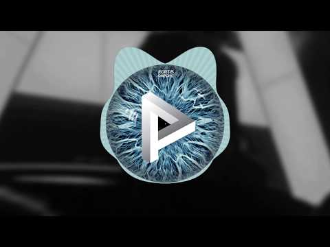 Fortis - Wax & Bunnys (smo. Remix)