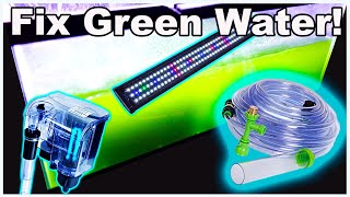 How to Fix Green Water in Your Fish Tank!