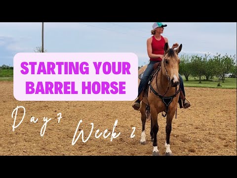 STARTING YOUR BARREL HORSE | From the beginning to first competition - Day 7 - Week 2|
