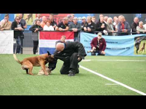 Highlights Dutch Championships  KNPV   2021