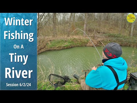 Wonderful Winter Fishing On A Tiny River With Bread Worms & Maggots - 6/2/24 (Video 469)