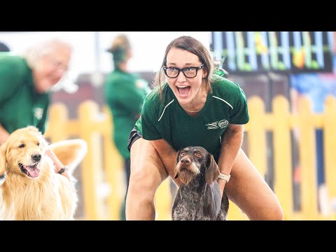 Flyball-A Championship by a Millisecond