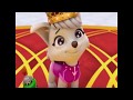 Let S Take Care Of Our Pets CMV