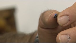 Miniatura do vídeo