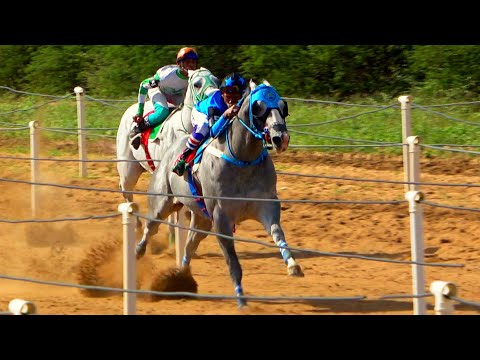 Especial - completo: O histórico GP BAHIA FUTURITY 2025!