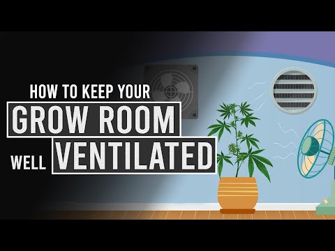 How to keep your Cannabis Grow-Room well Ventilated!