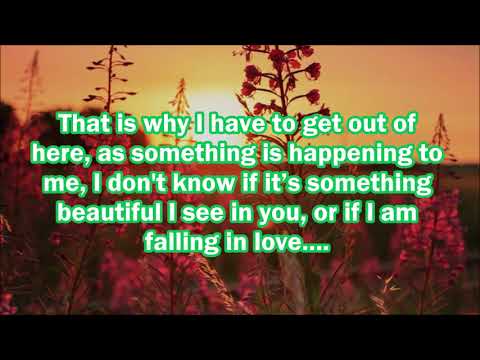 Los Bukis Mi Ironia English Lyrics