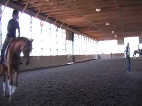 and i threw us into the flames&& dressage clinic