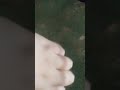 Swearing