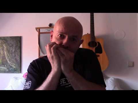 Einwurf Akkorde und Intervalle in einen Rag Time Blues -Thomas Hippe