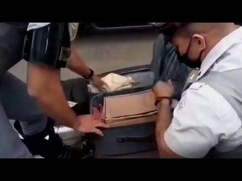 Polícia Militar Rodoviária encontra drogas em mala de ônibus
