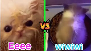 Download lagu WiWiWi Cat vs Eeee Cat mp3
