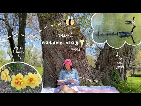 vlog: a peaceful spring day in nature 🌱