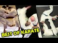 Best of KARATE - Top 20 Takedowns and SWEEPS