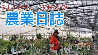 2025農業日誌SLIDESHOW