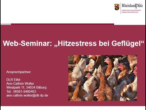 , title : 'Web-Seminar: Hitzestress bei Geflügel'