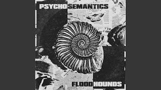 Floodhounds - Psychosemantics video