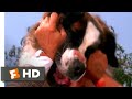 Beethoven 1992 Framing Beethoven Scene 7 10 Movieclips