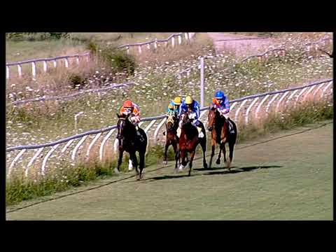 Galoppo 18/07/2020 - 2ª corsa