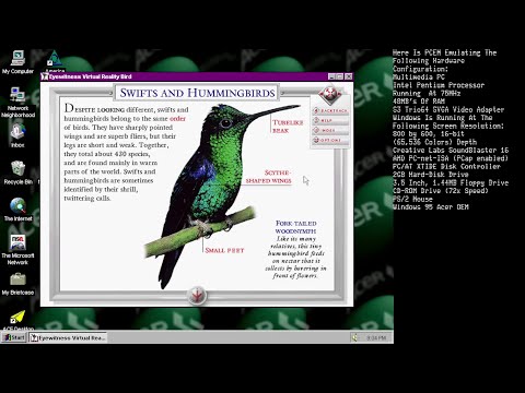 DK Birds On Windows 95 (PCEM)