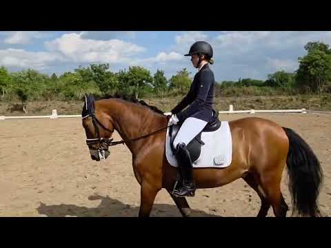 3. Platz RL2 Dressurreiterprüfung in Eutin