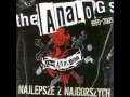 THE ANALOGS "Grzeczny Chłopiec" 