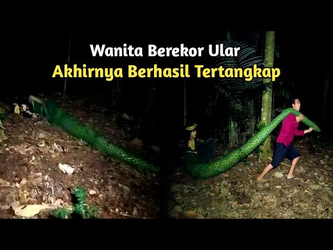Alhamdulillah!!! akhirnya wanita cantik berekor ular berhasil tertangkap - siluman ular