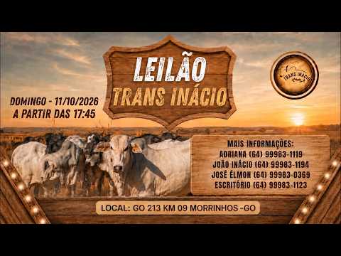 Leilão de Gado em MORRINHOS-GO, 18/10/2026  TransInácio Leilão - 17:45 Hs - Presencial e virtual.