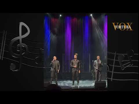 Vox Fortura video showreel