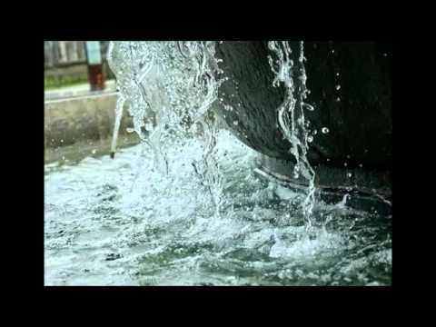 LDN- Lágrimas, sudor y rabia