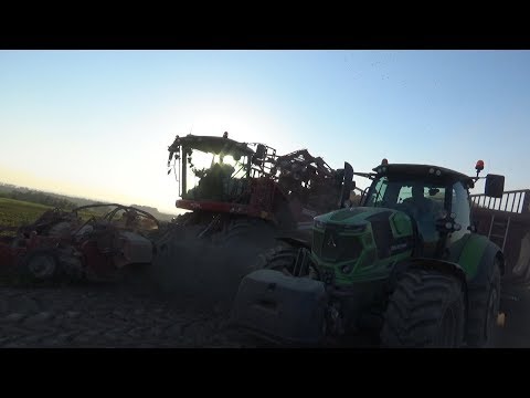 Akcja Buraki 2018  ! GRIMME | DEUTZ FAHR