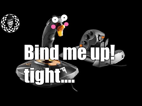 Noobs Only: How to bind your FCS HOTAS for Star Citizen 3.8.1