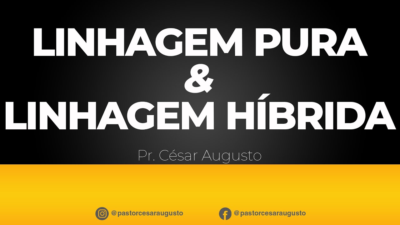 Linhagem pura e linhagem híbrida - Gênesis 6 - O Pr. César Augusto explica.